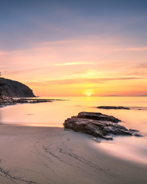La spiaggia di Cala Violina
