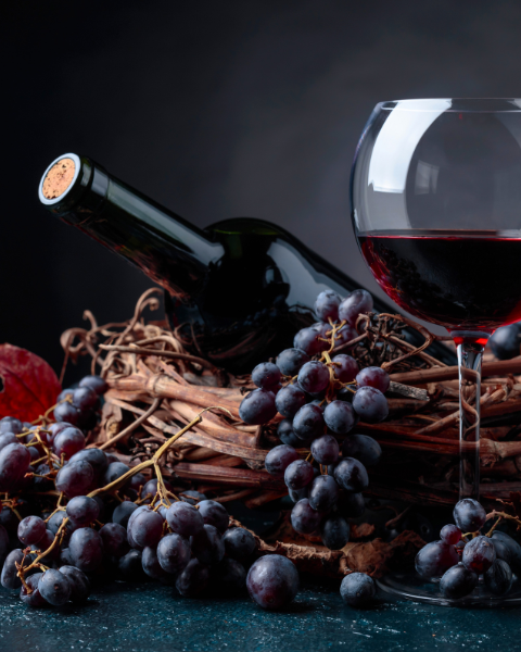 Il vino della Maremma