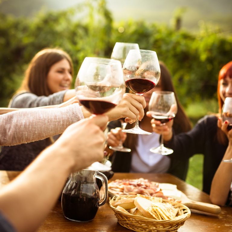 Cantine della Maremma, Degustazioni