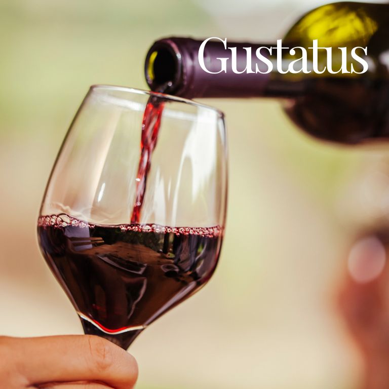Gustatus Il senso del gusto