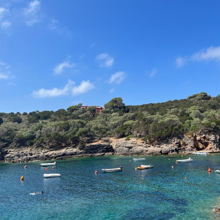 L'isola di Giannutri