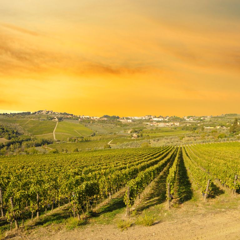 Itinerari enogastronomici in Maremma