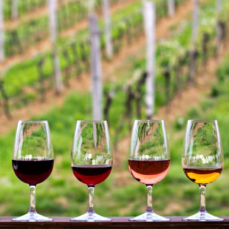 Le cantine  di Bolgheri