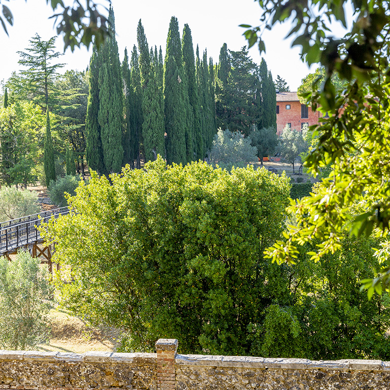 Vivere il verde